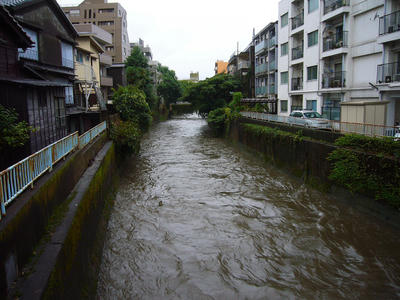 神田川　増水
