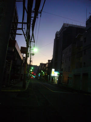 朝