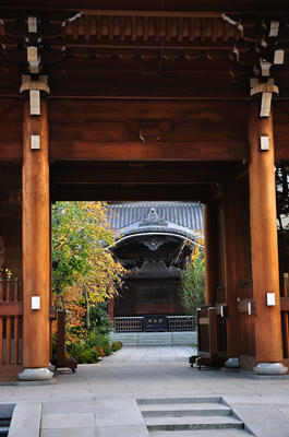 門