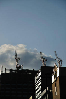 Crane