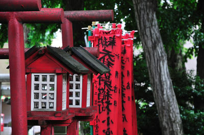 地元散歩２