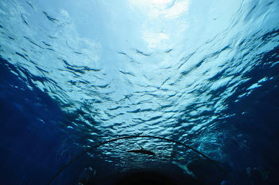 Deep Blue