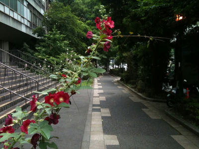 日比谷図書館３