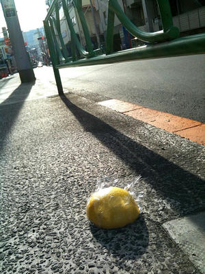 狂った果実