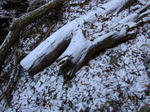 mitousan snow