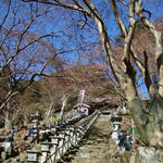 kanagawa ooyama fudouson