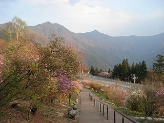 DSC07845.jpg