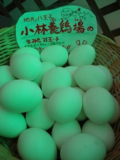 DSC08006.jpg
