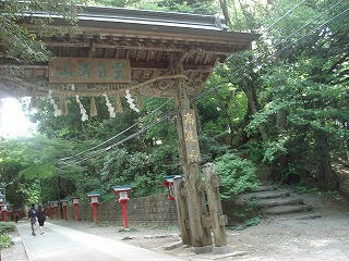 DSC08046.jpg