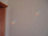 DSC07733.jpg
