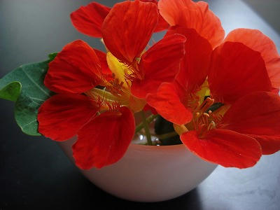 DSC08181.jpg