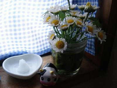 DSC08219.jpg