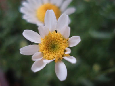 DSC08360.jpg