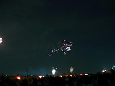 DSC09228.jpg