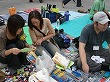 DSC00049.jpg