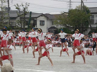 DSC00087.jpg