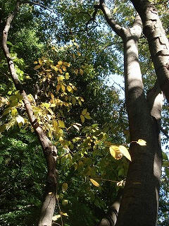 DSC00139.jpg