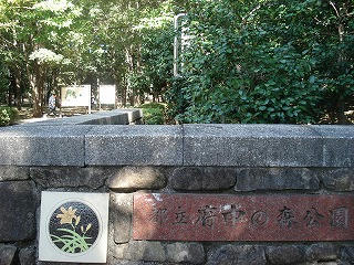 DSC00146.jpg