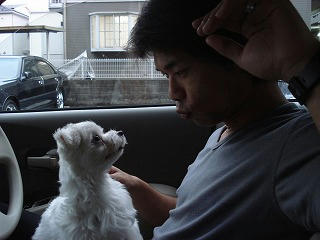 DSC00246.jpg