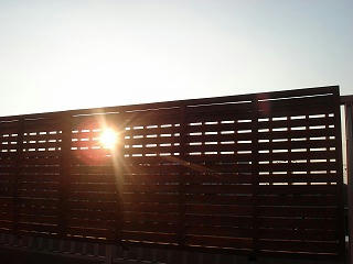 DSC00281.jpg