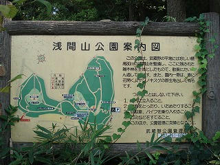 DSC00242.jpg