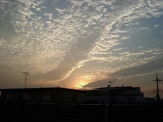DSC00328.jpg