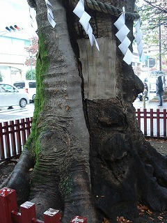 DSC00001.jpg