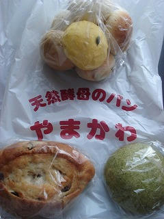 DSC00038.jpg