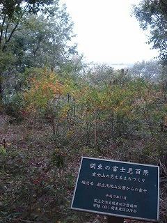 DSC00348.jpg
