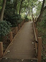 DSC00357.jpg