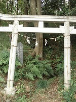 DSC00360.jpg