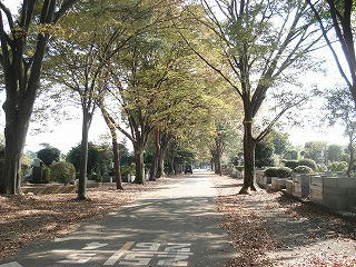DSC00092.jpg