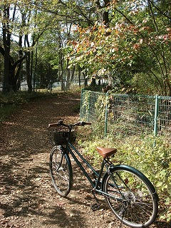 DSC00100.jpg