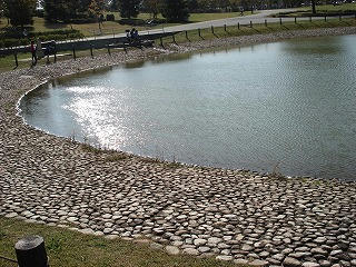 DSC00243.jpg