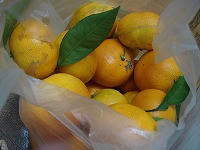 DSC00295.jpg