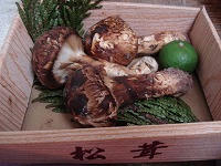 DSC00296.jpg