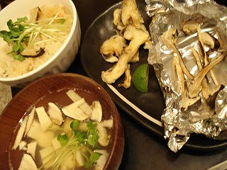 DSC00308.jpg