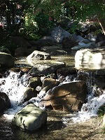 DSC00084.jpg