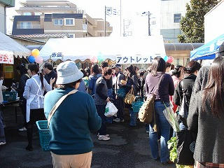 DSC00370.jpg