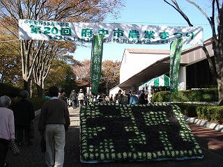 DSC00371.jpg