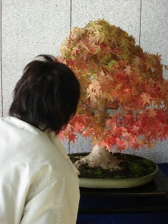 DSC00374.jpg
