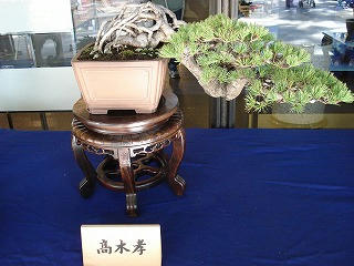 DSC00377.jpg