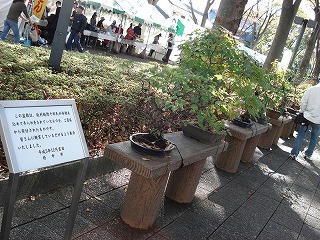 DSC00384.jpg