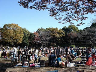 DSC00395.jpg