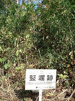 DSC05840.jpg