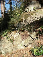 DSC05843.jpg