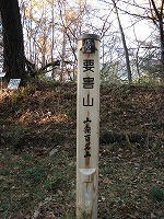 DSC05878.jpg