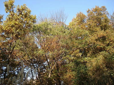 DSC05952.jpg