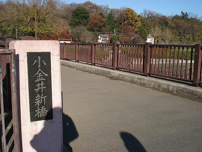 DSC00039.jpg