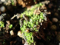 DSC00154.jpg